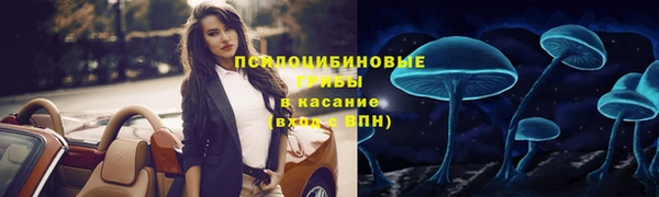 а пвп мука Алзамай
