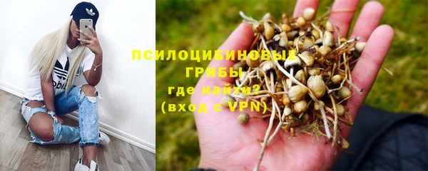 ALPHA-PVP Алексин