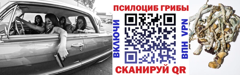 наркотики  Алупка  OMG   Галлюциногенные грибы мицелий 