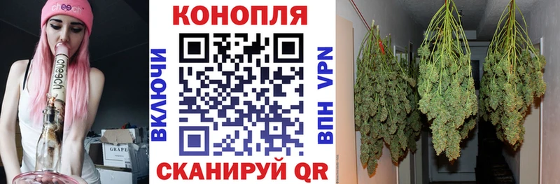 купить закладку  Алупка  ОМГ ОМГ ССЫЛКА  Канабис OG Kush 